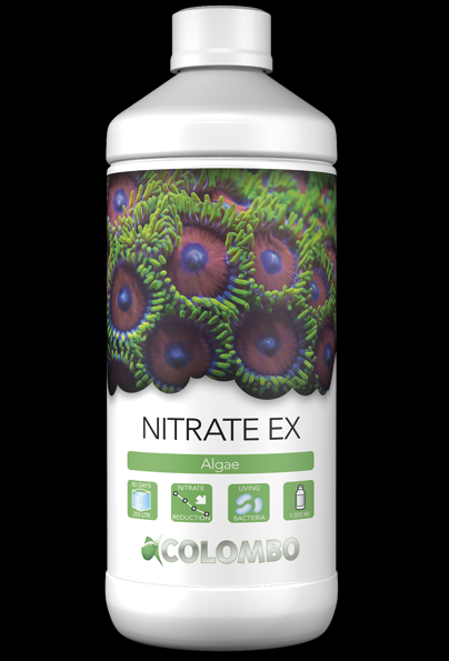 Nitrate Ex